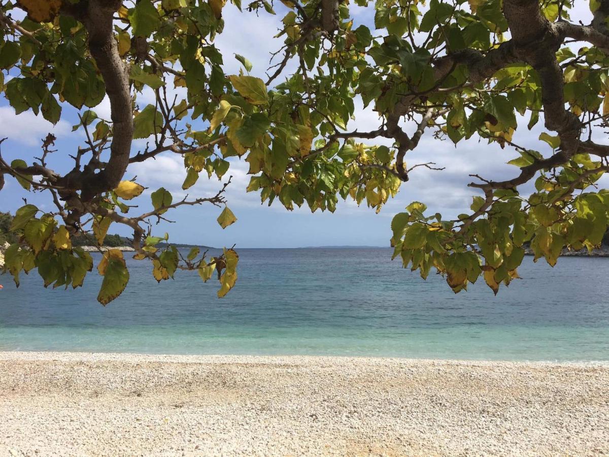 Chelidonia Villa Steni Vala Alonissos Bagian luar foto